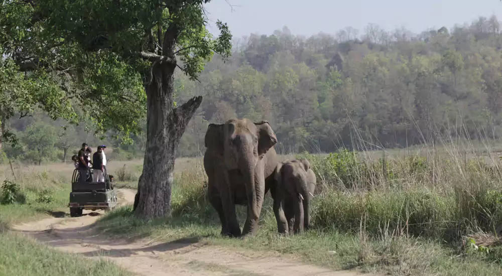 Rajaji National Park